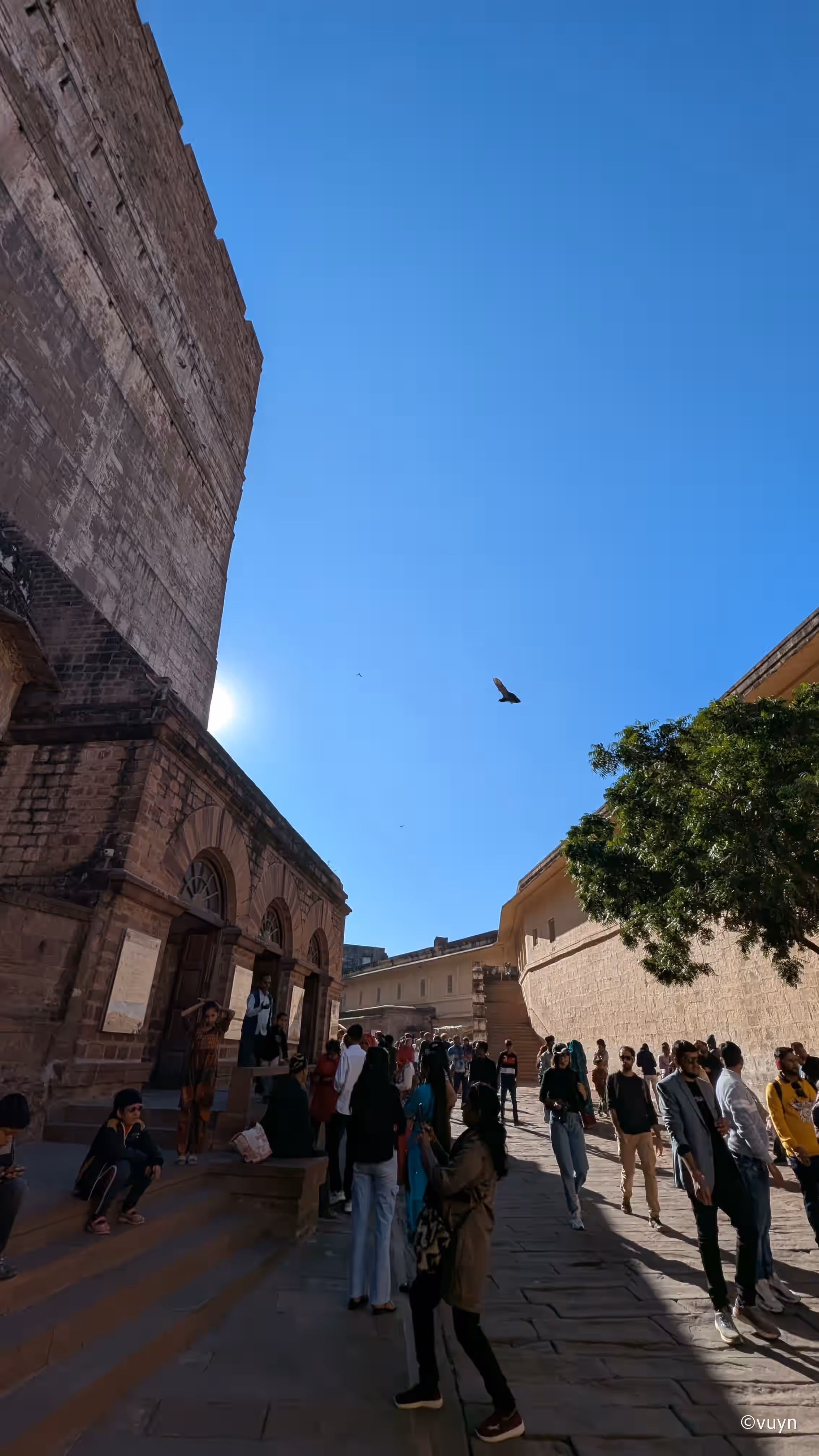 Jodhpur, Rajasthan - 10