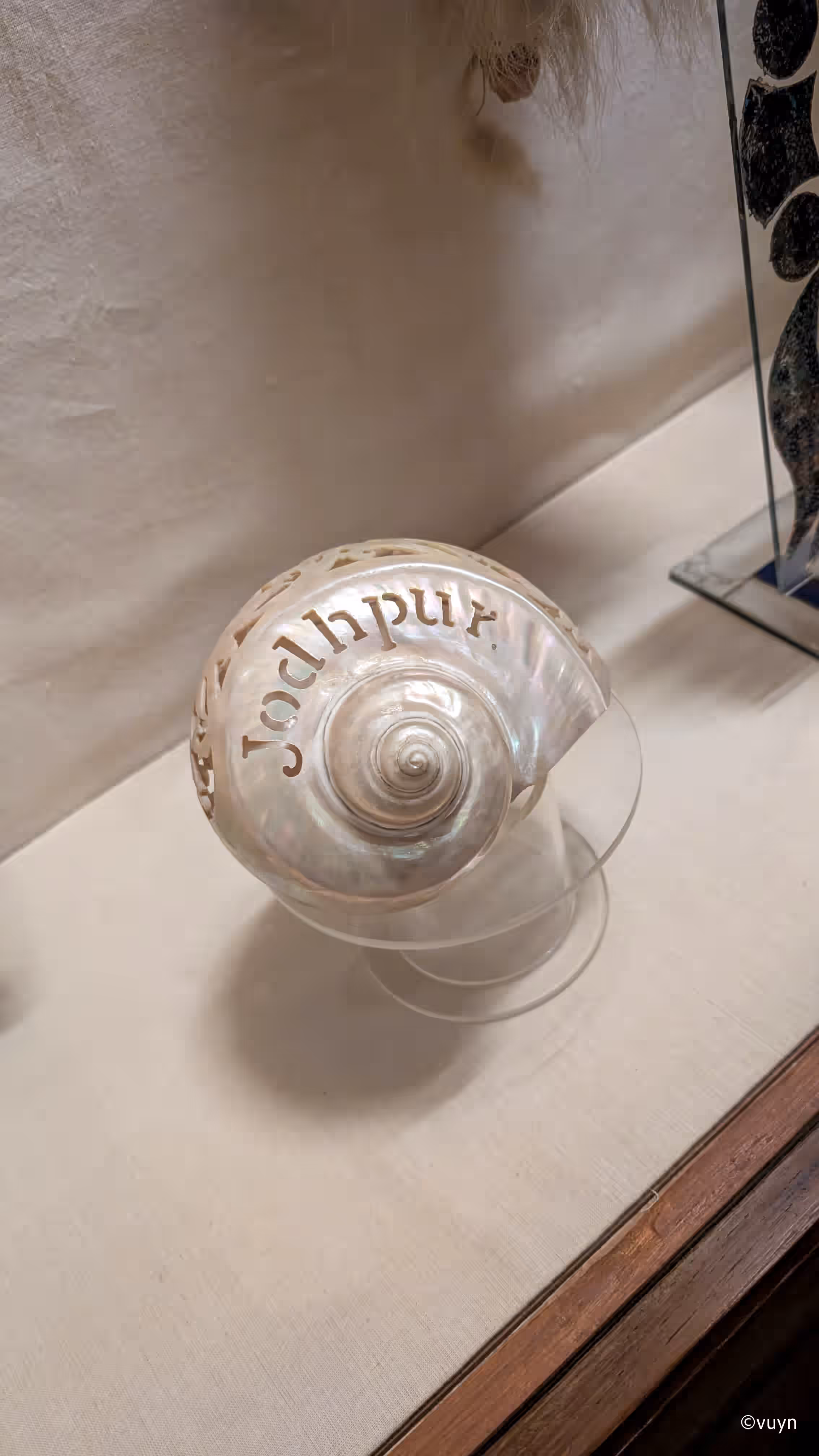 Jodhpur, Rajasthan - 35