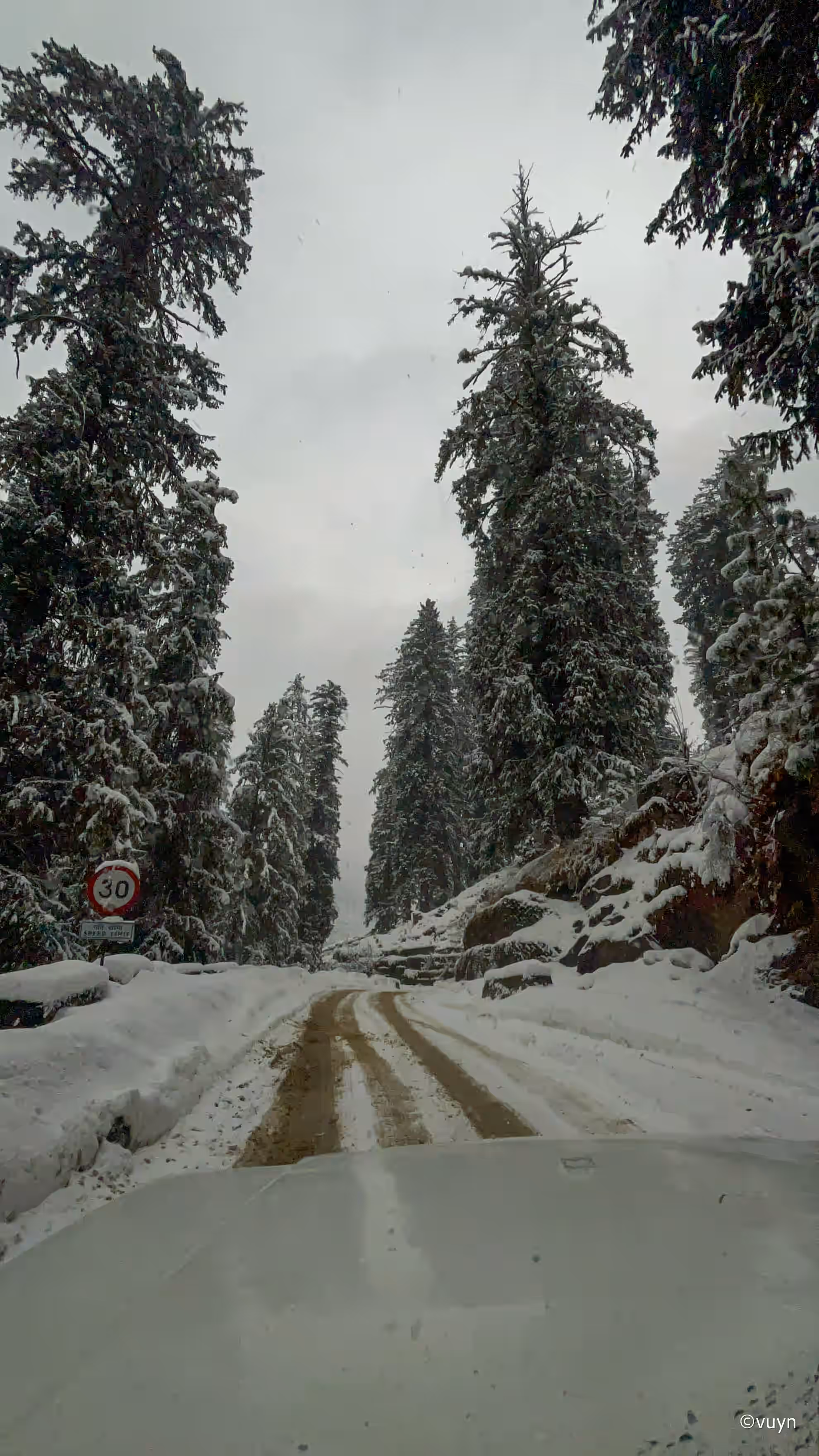Manali, Himachal Pradesh - 5