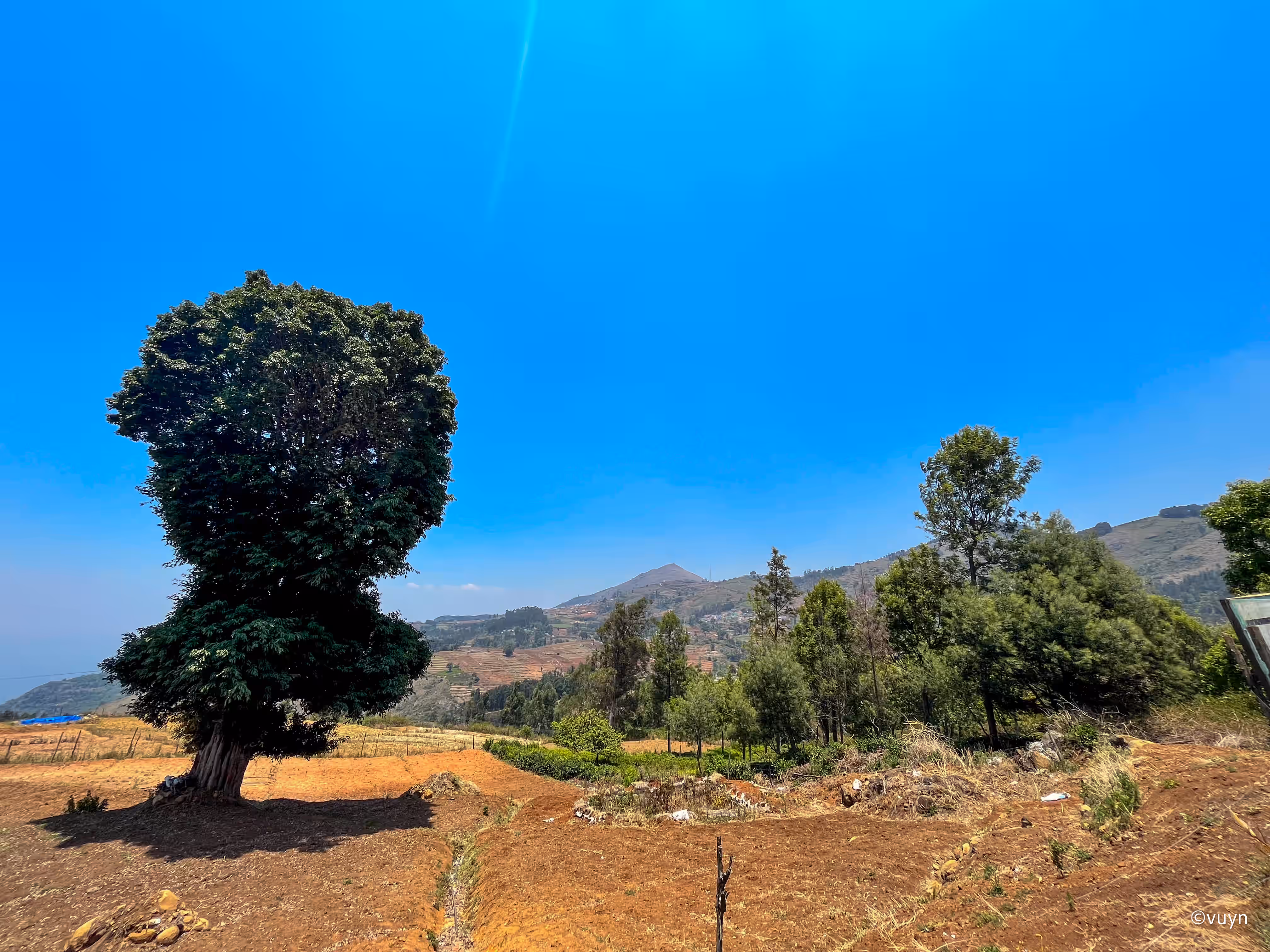 Ooty, Tamil Nadu - 1