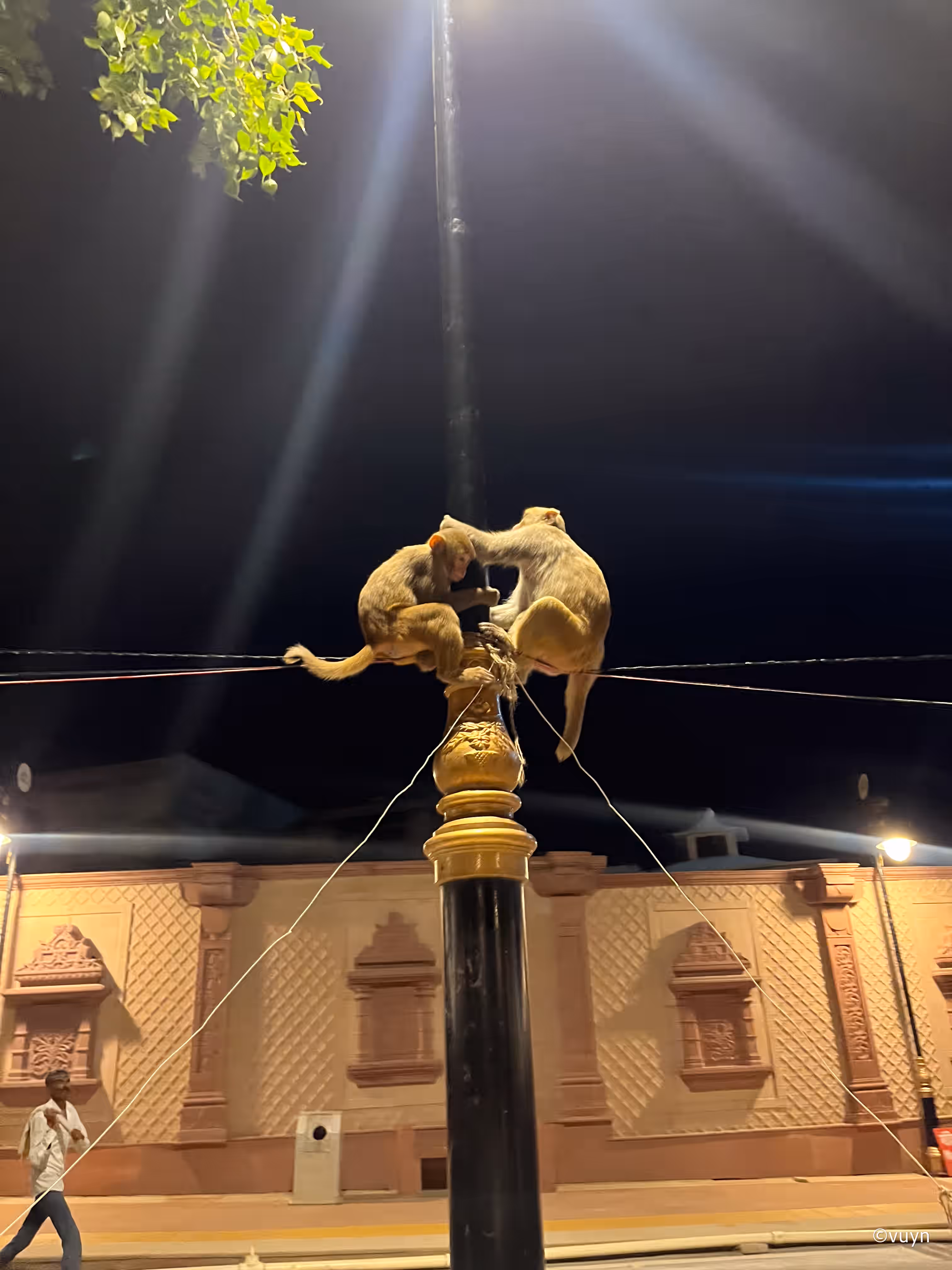 Ayodhya, Uttar Pradesh - 4