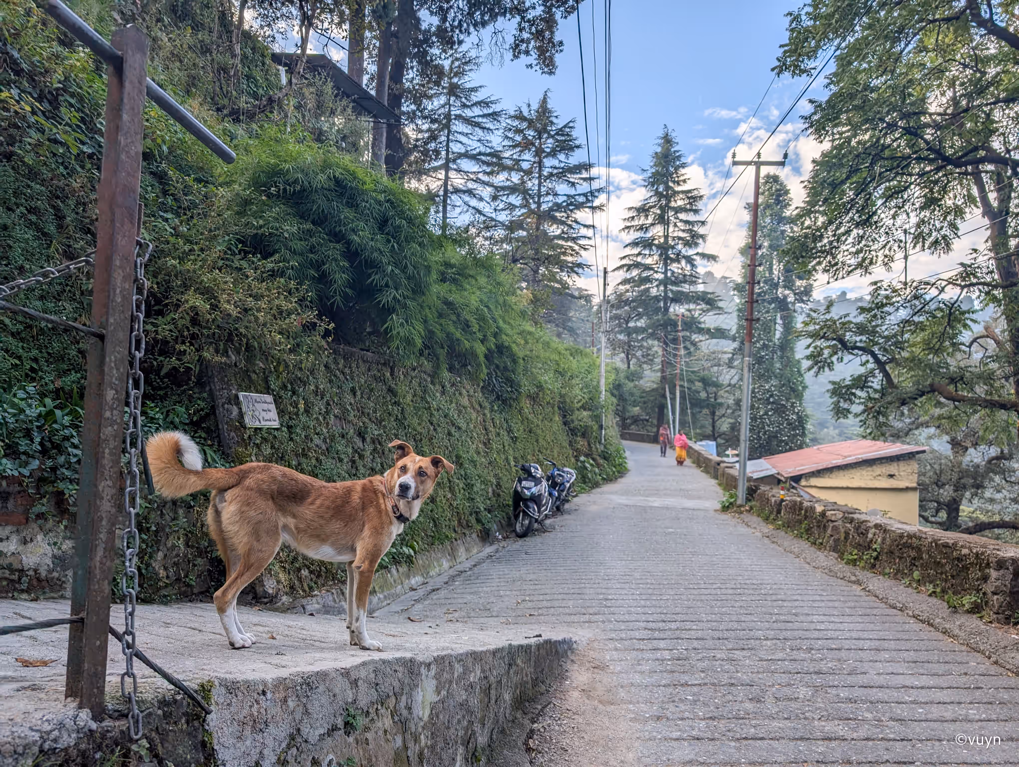 Mussoorie, Uttarakhand - 16