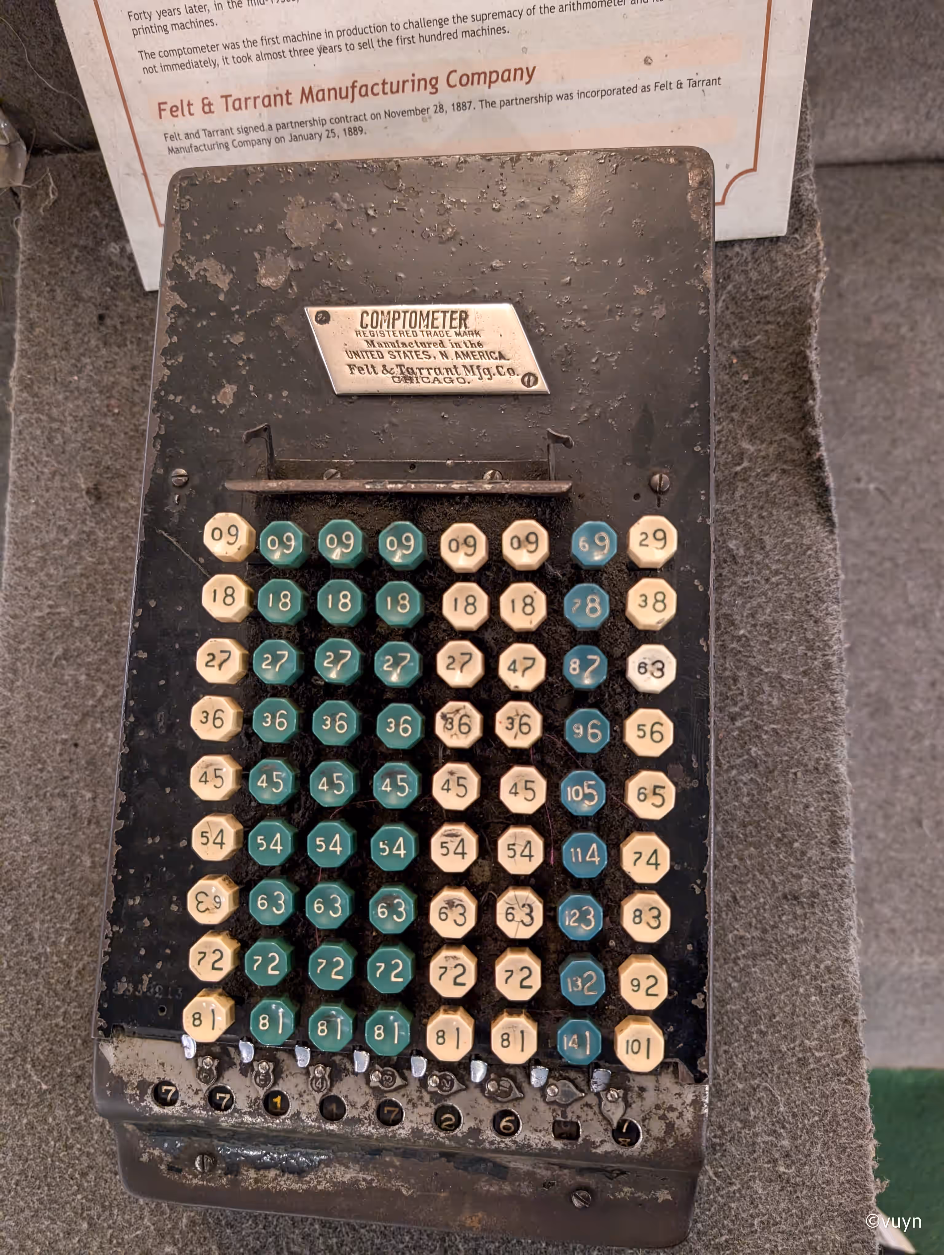 Darjeeling, West Bengal - 6