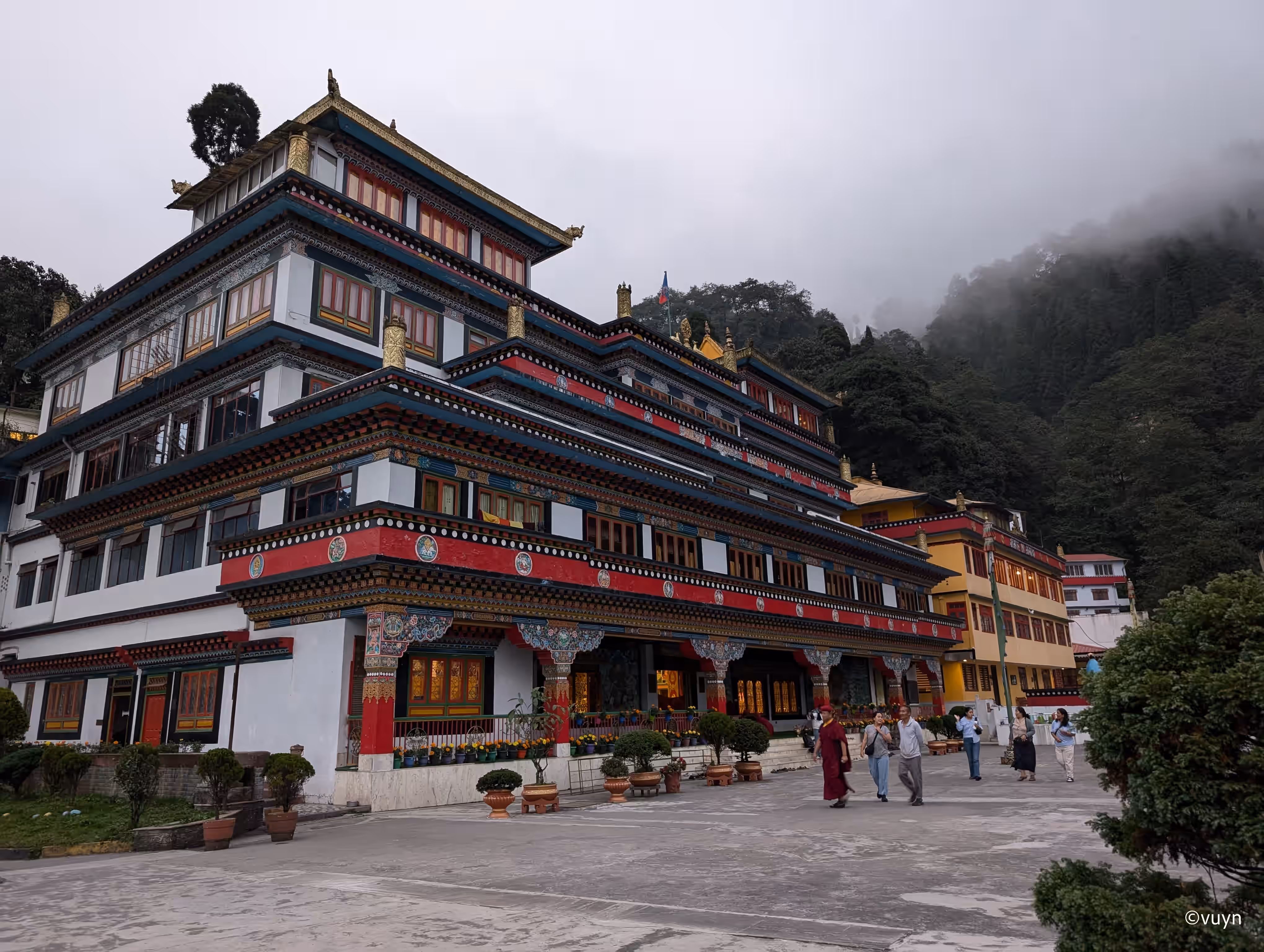 Darjeeling, West Bengal - 11