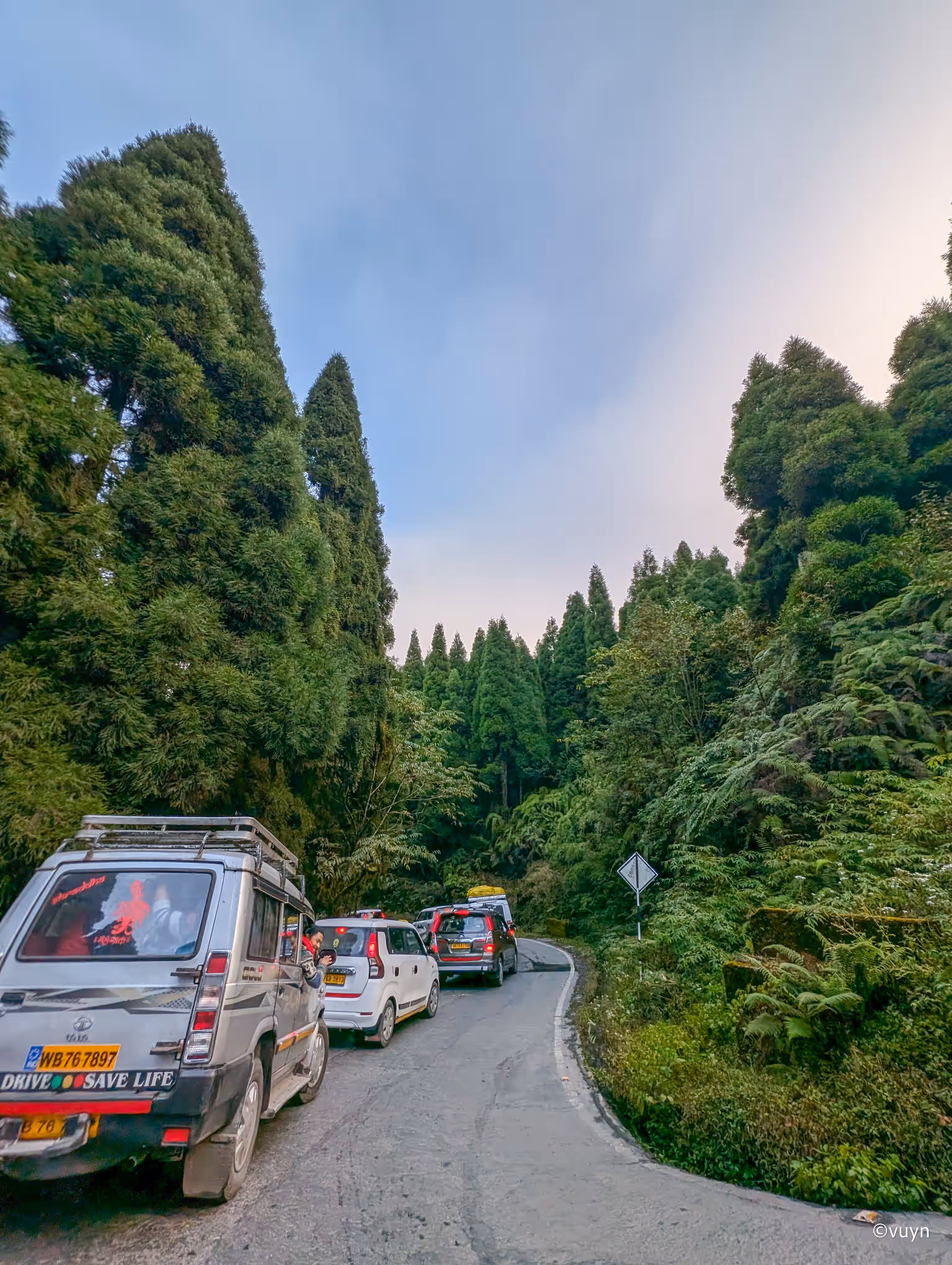 Darjeeling, West Bengal - 18
