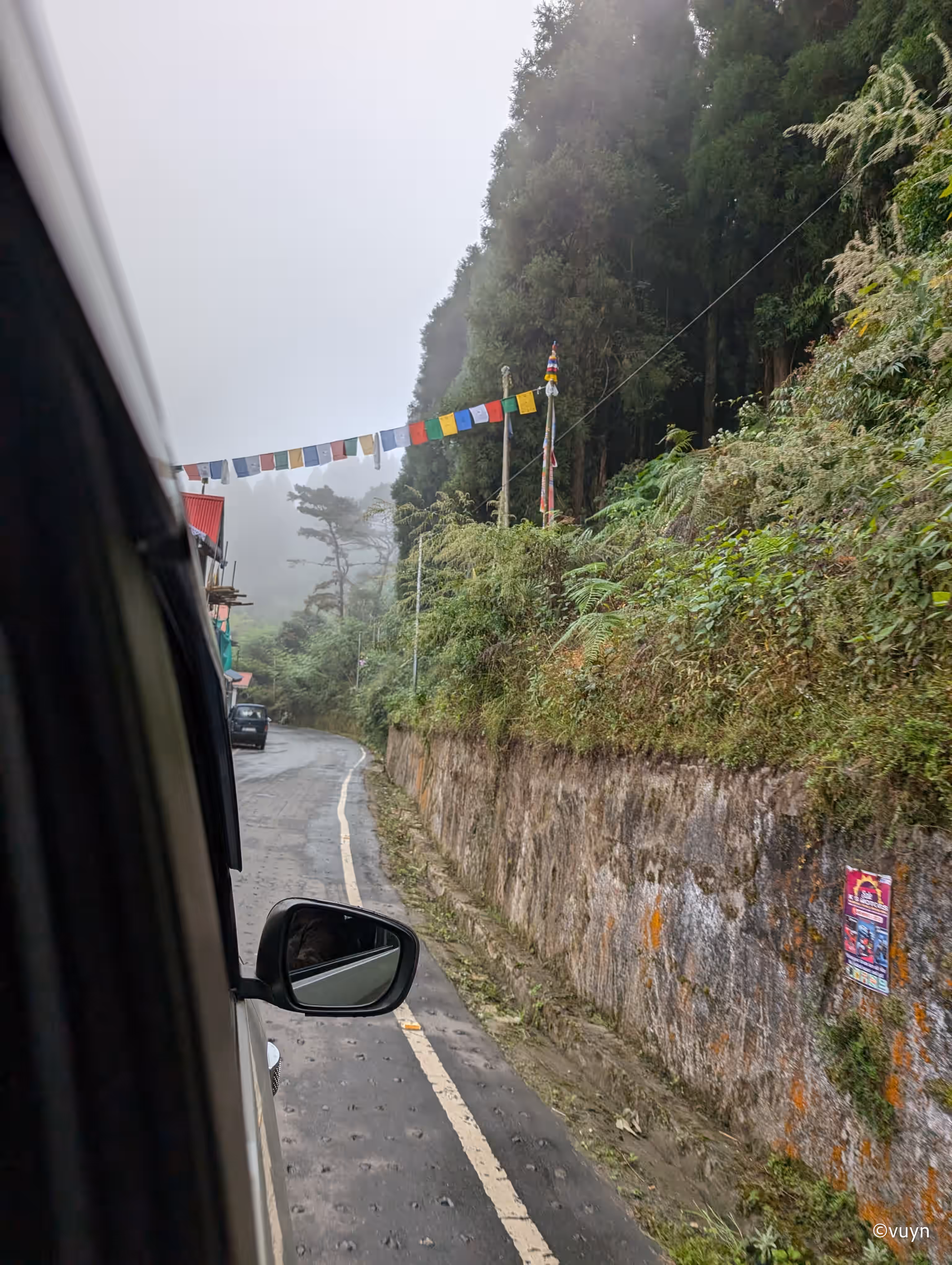 Darjeeling, West Bengal - 20