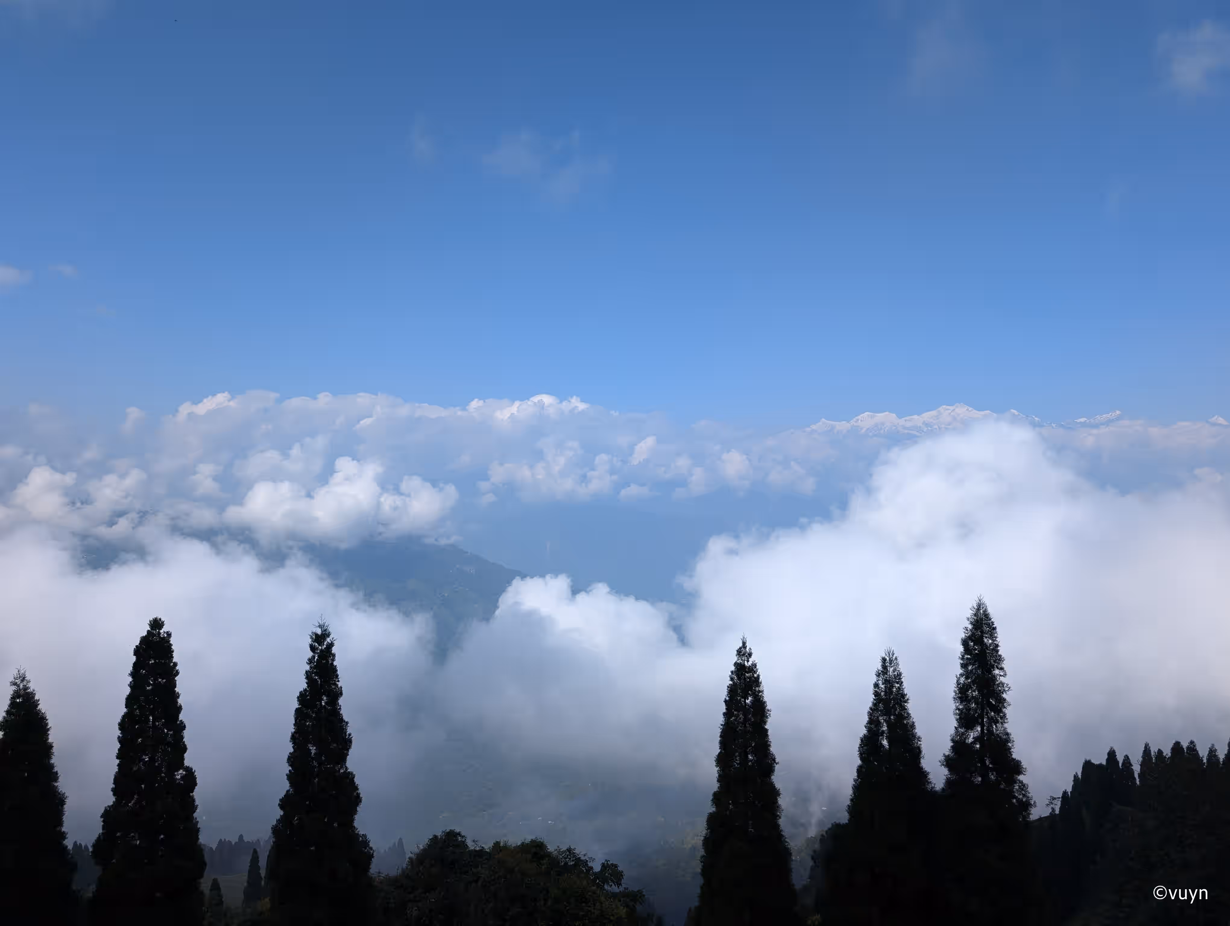 Darjeeling, West Bengal - 22