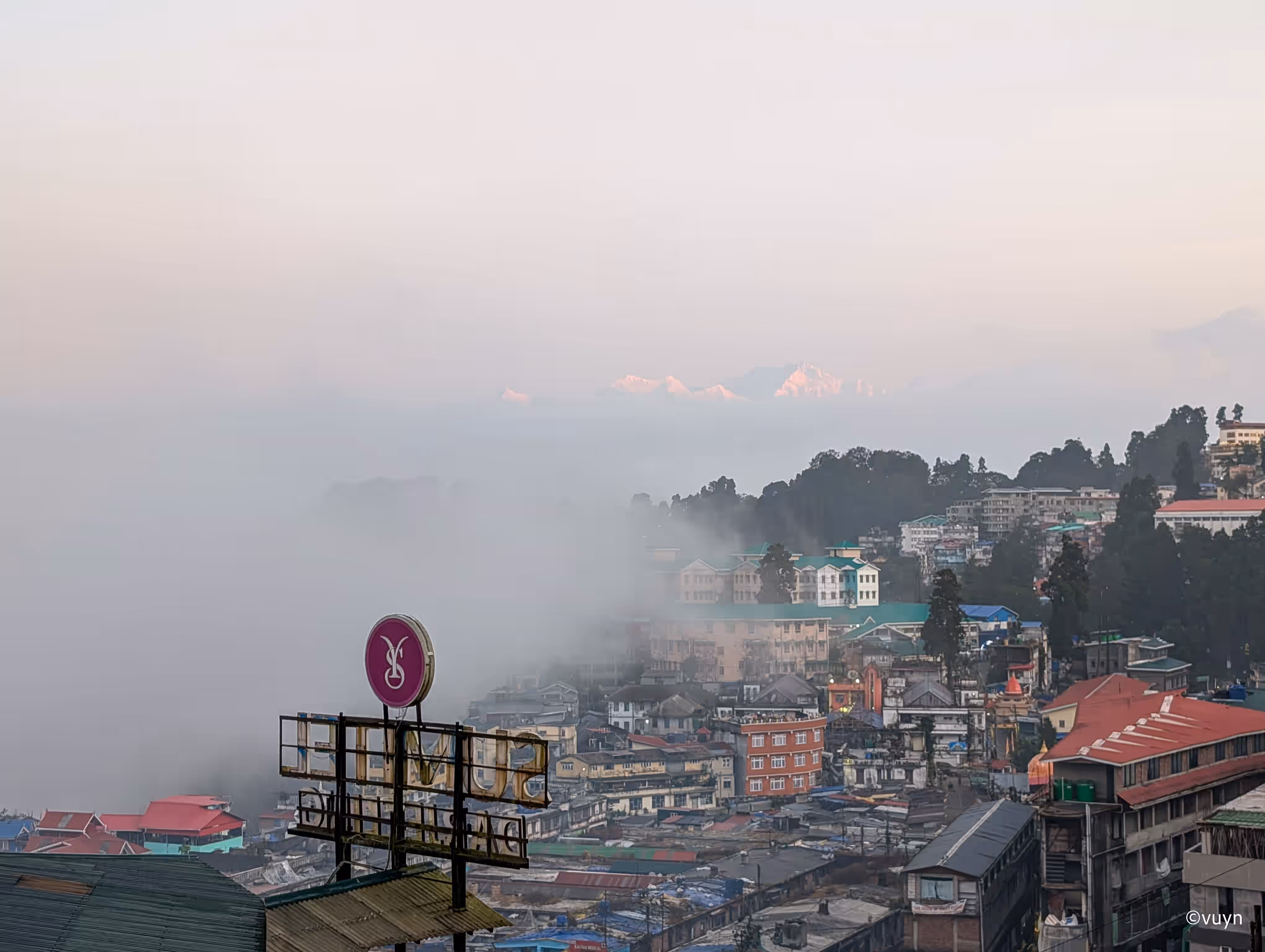 Darjeeling, West Bengal - 25