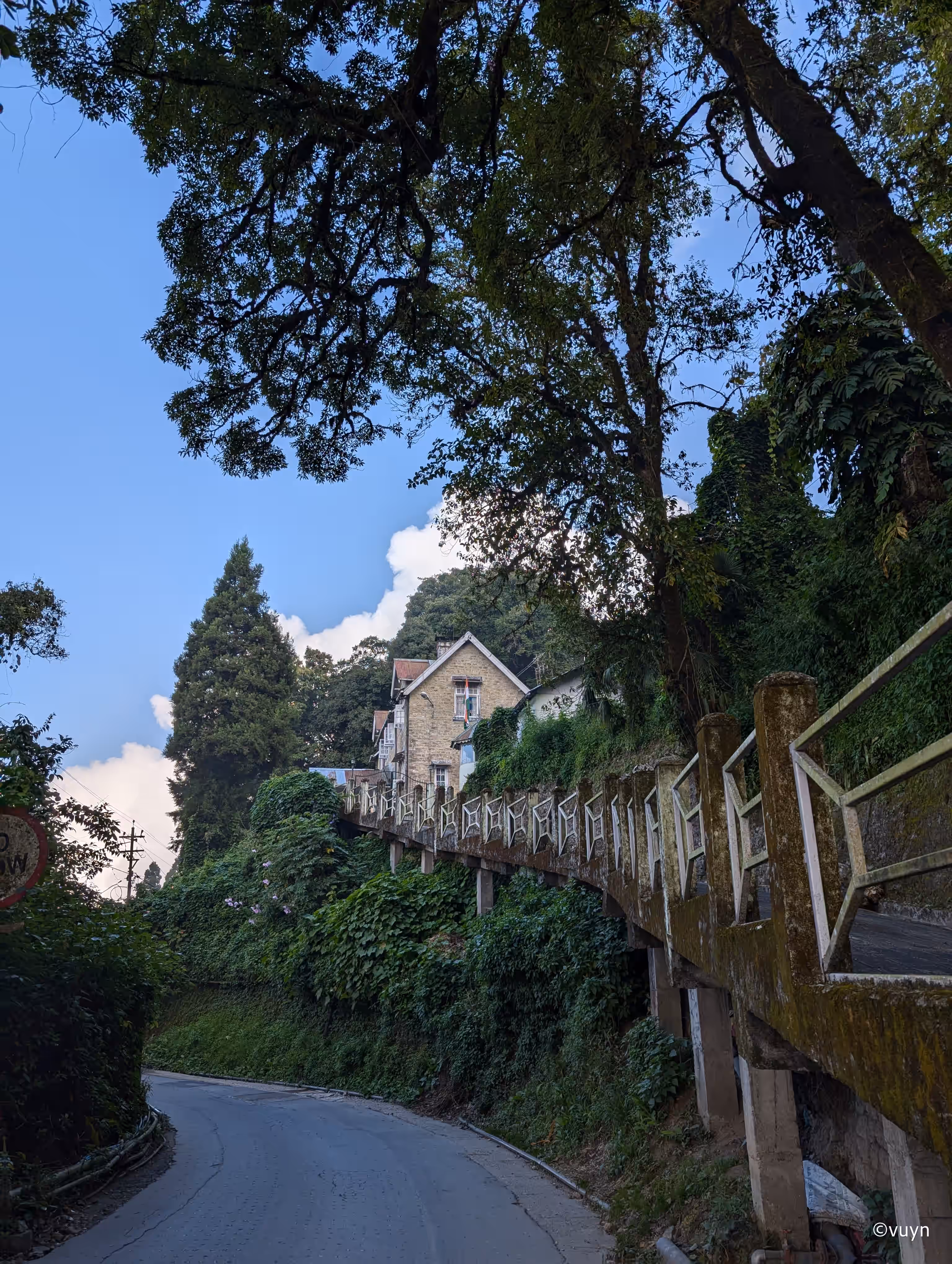 Darjeeling, West Bengal - 28