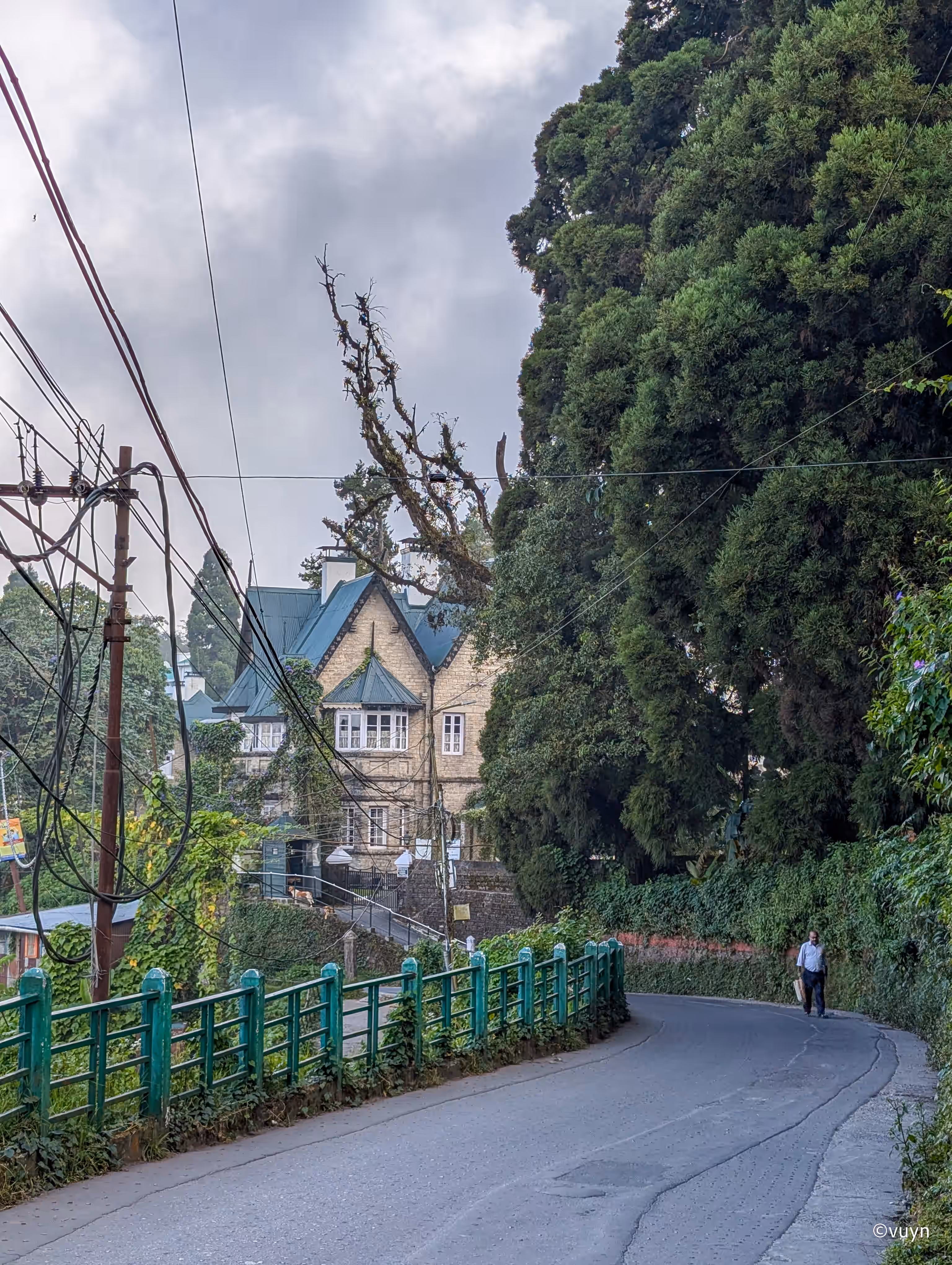 Darjeeling, West Bengal - 29