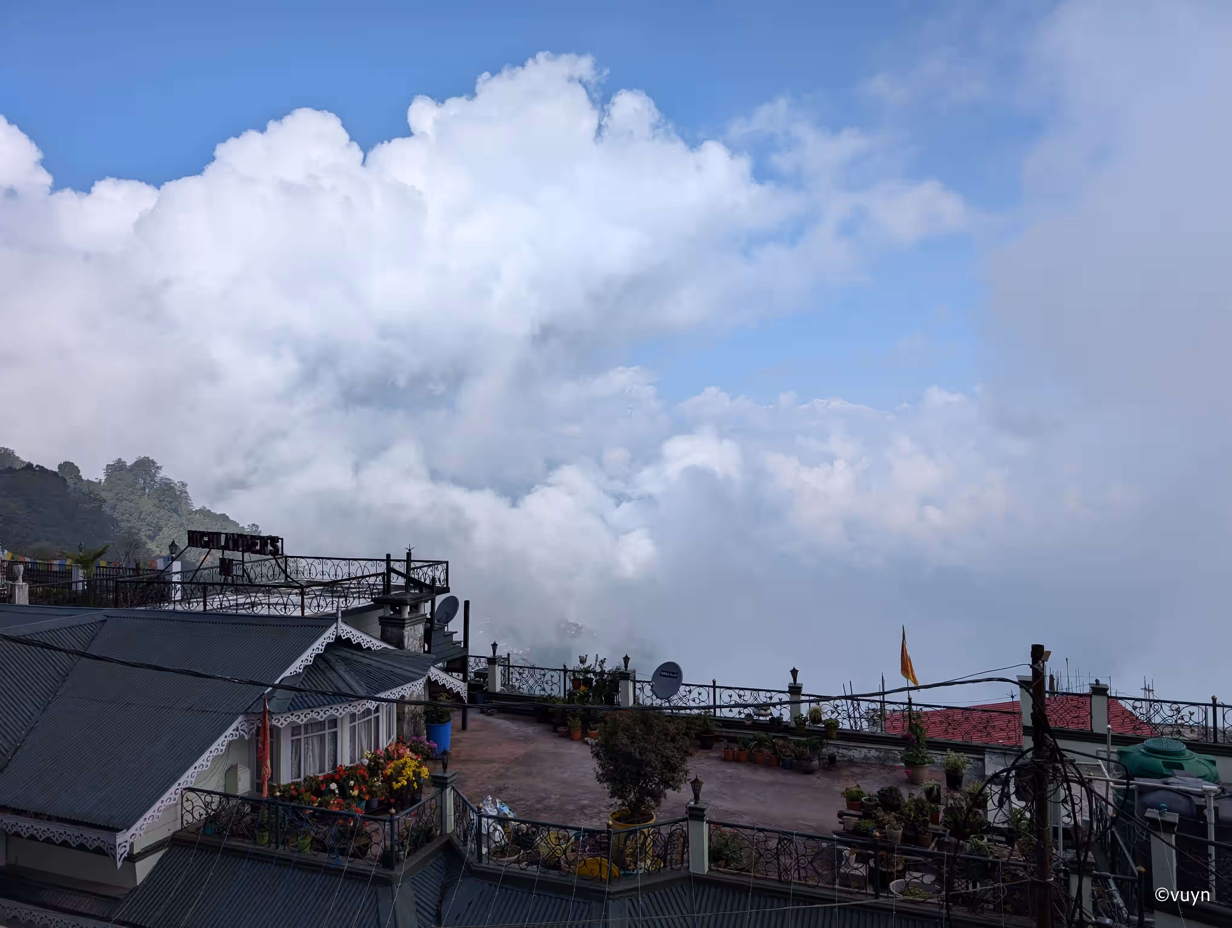 Darjeeling, West Bengal - 30