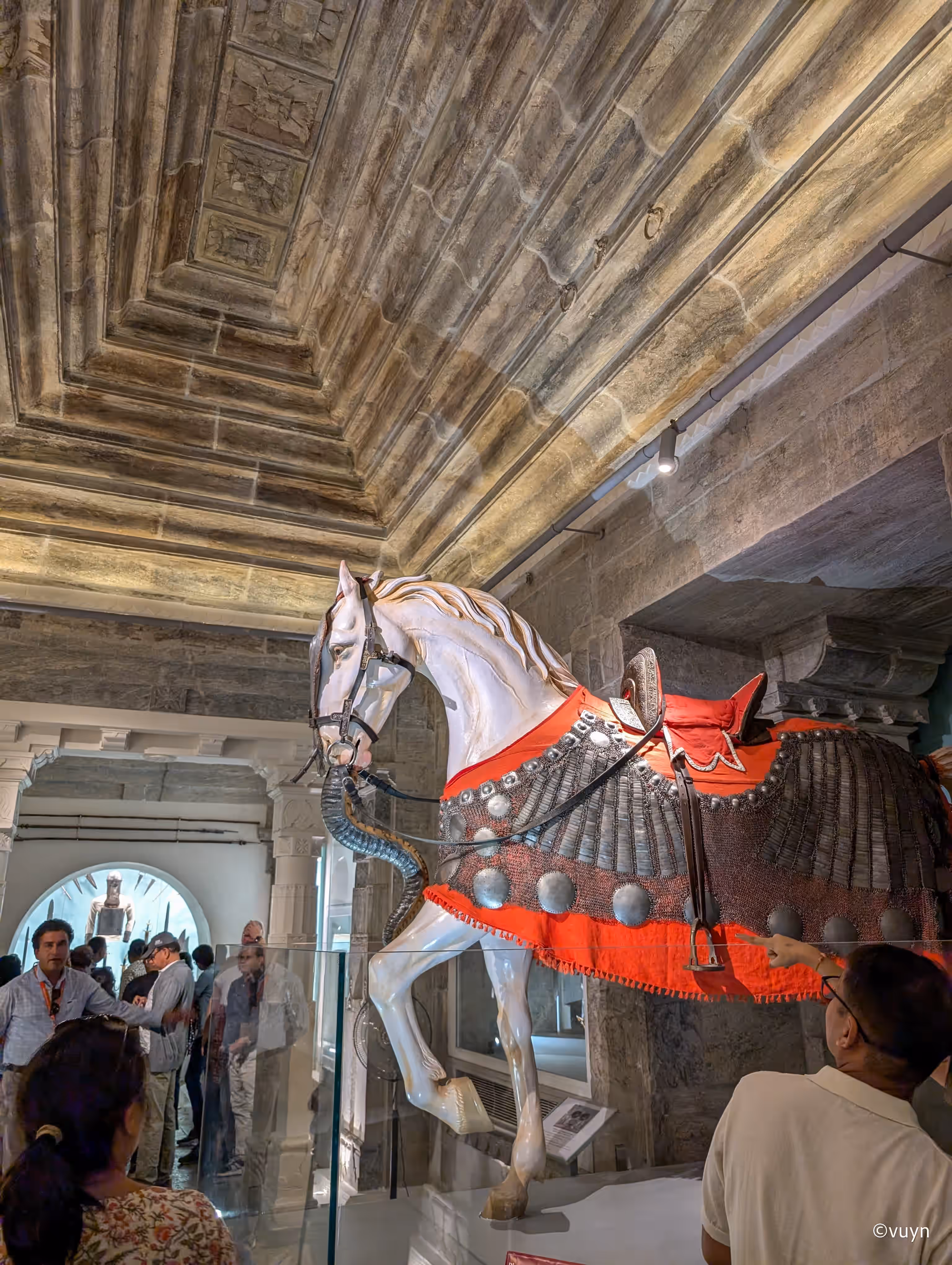 Udaipur, Rajasthan - 17