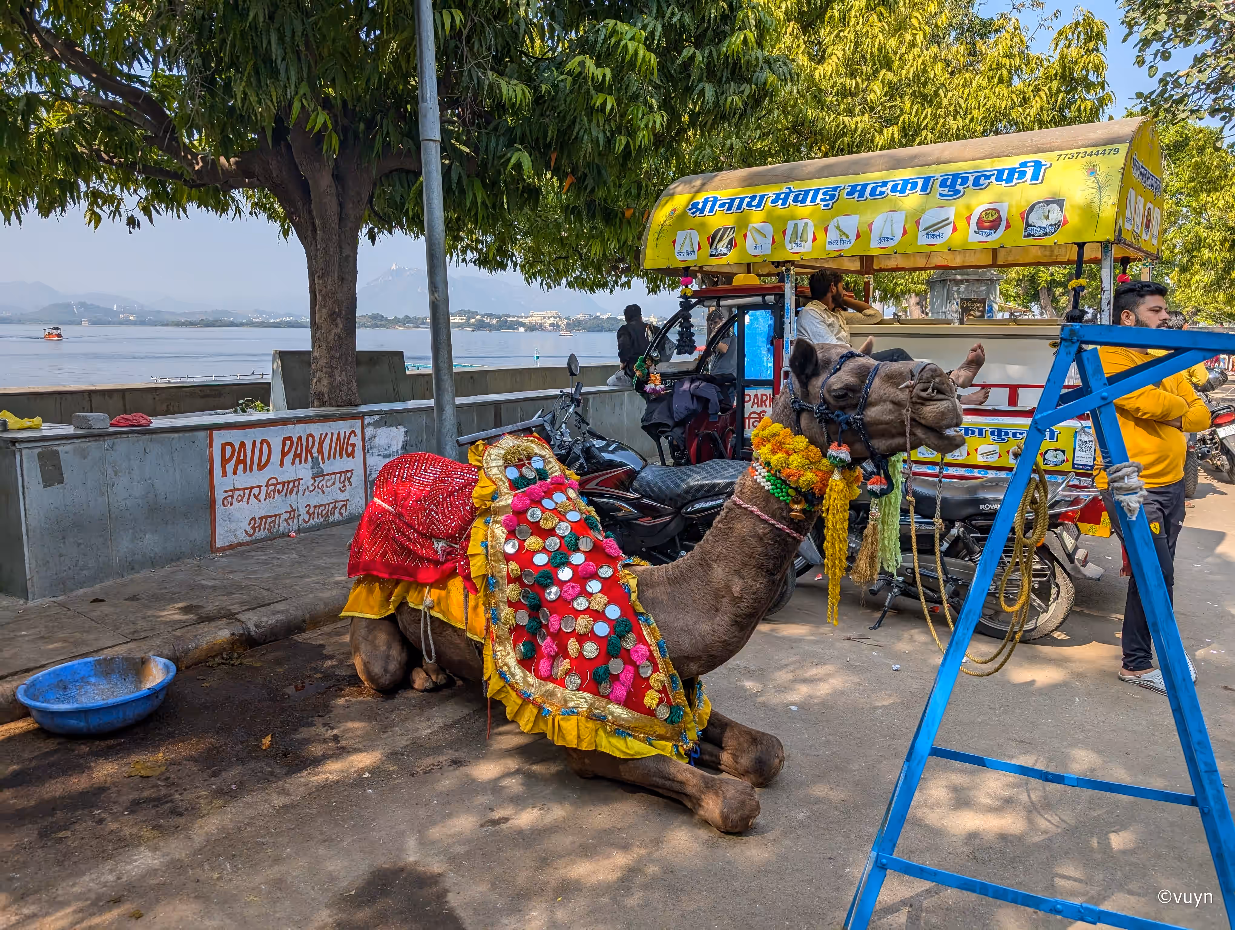 Udaipur, Rajasthan - 75