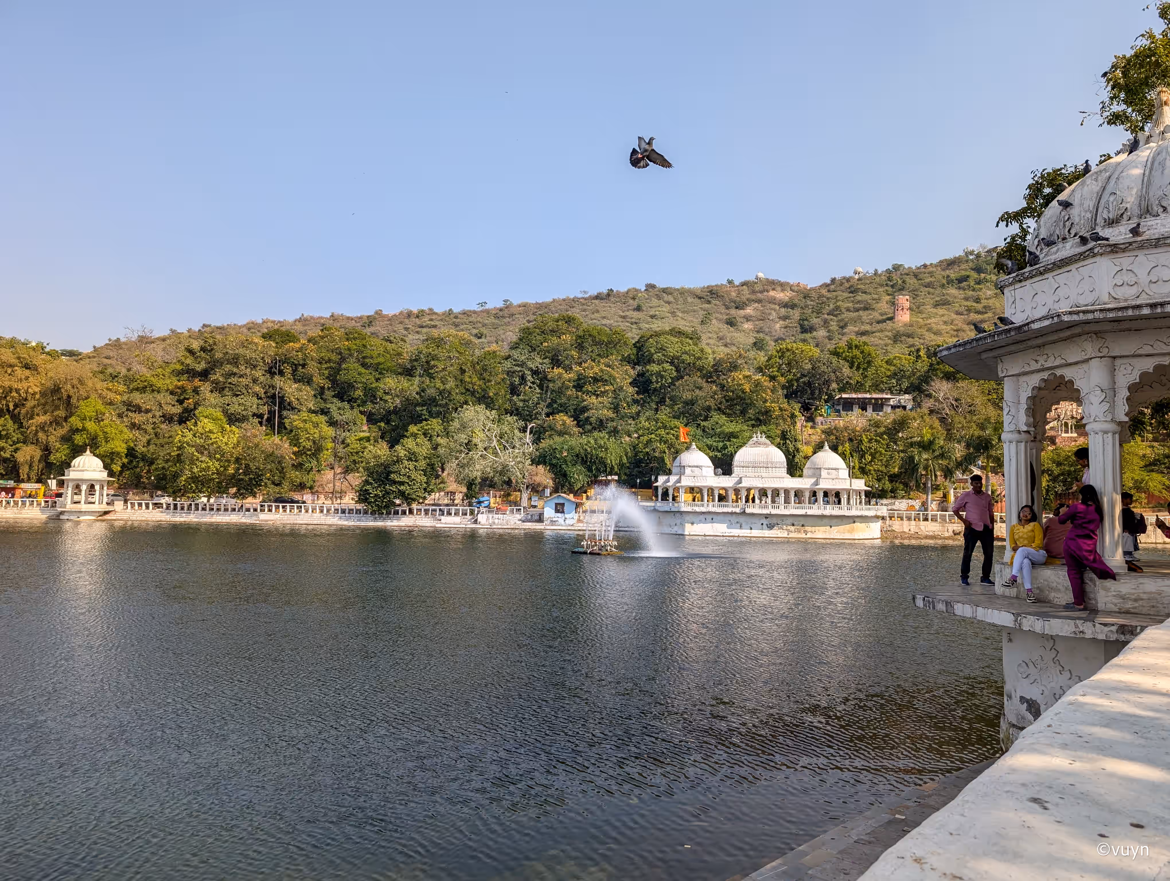 Udaipur, Rajasthan - 81