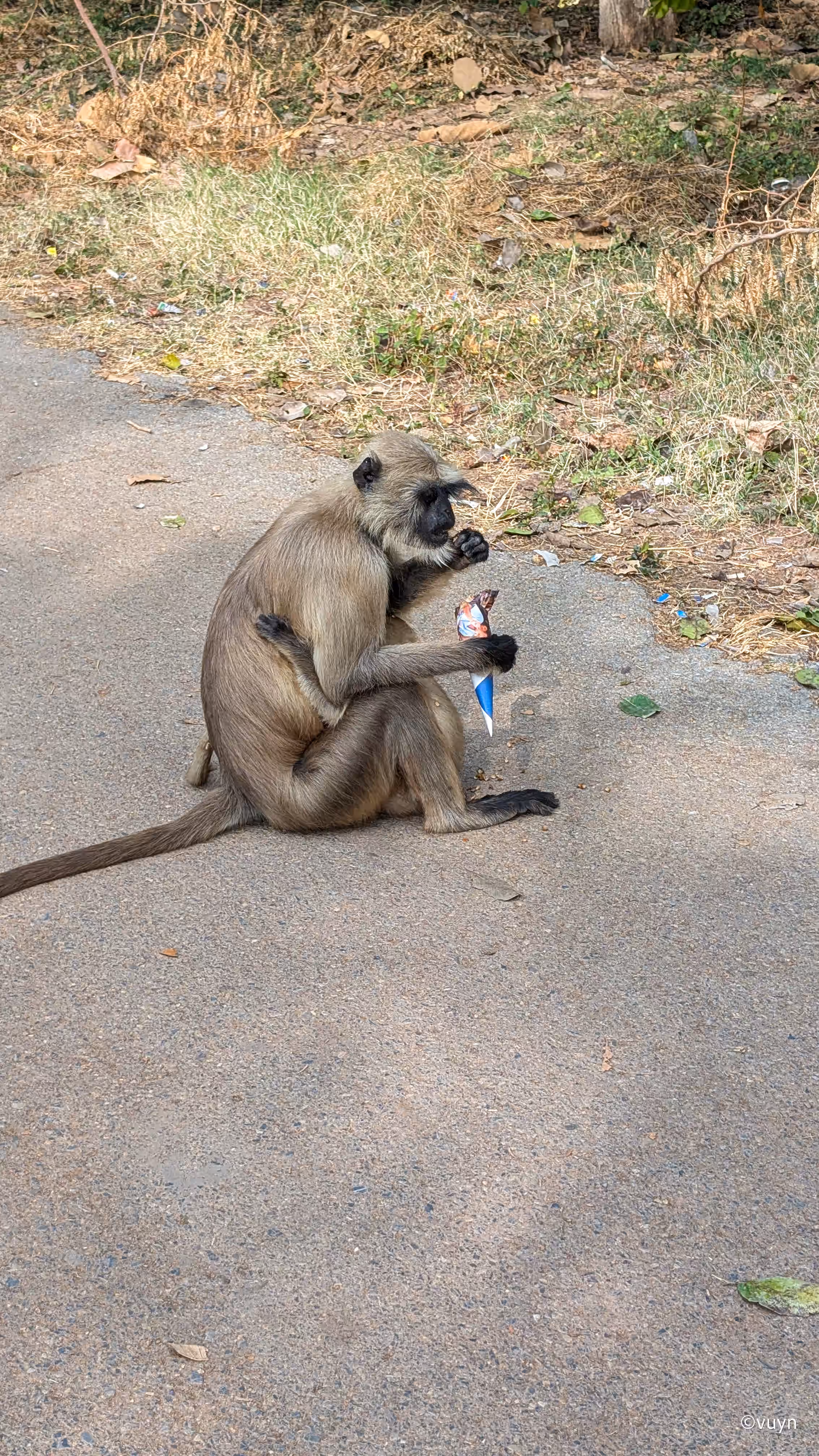 Chittorgarh, Rajasthan - 8