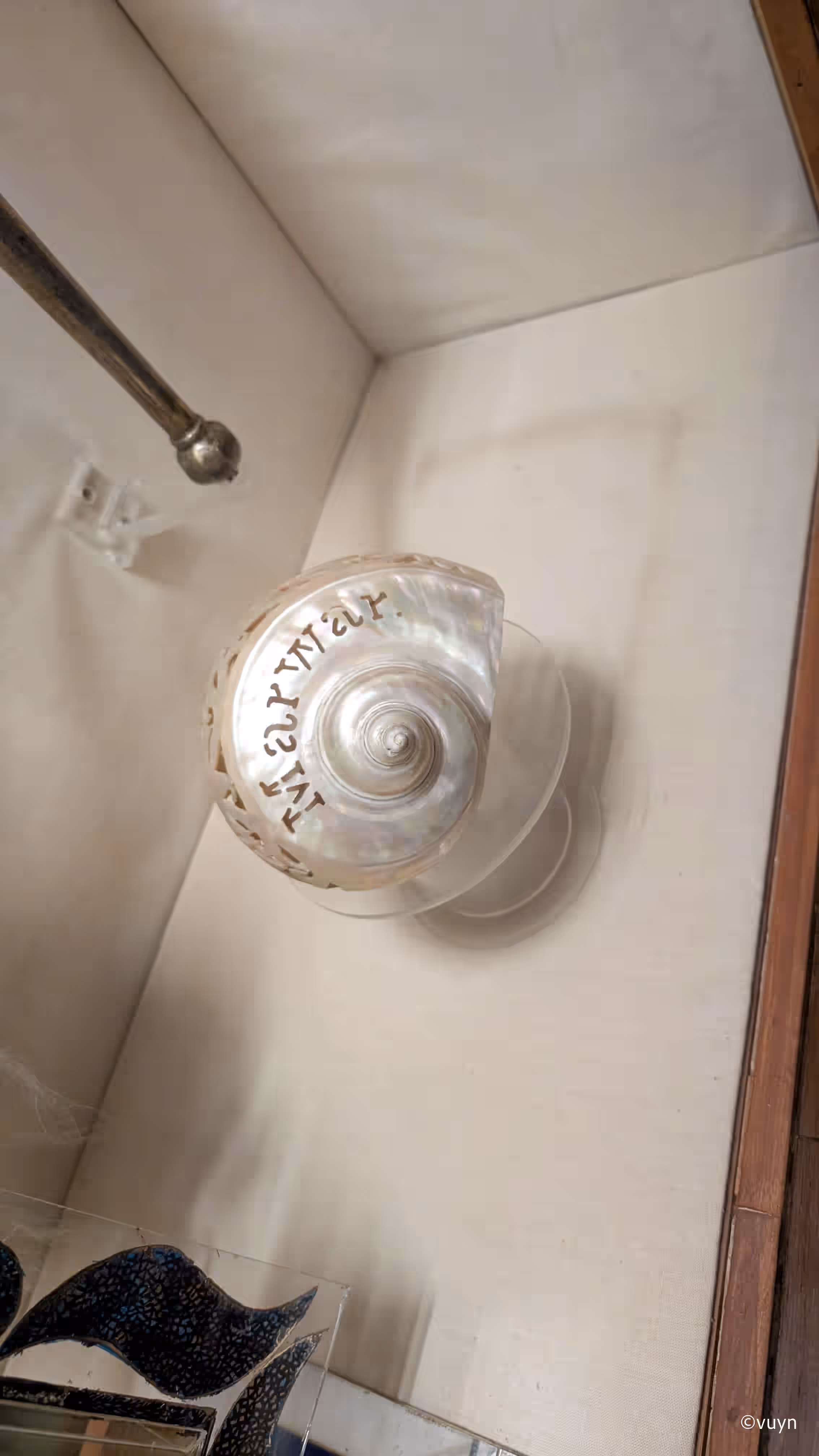 Jodhpur, Rajasthan - 54