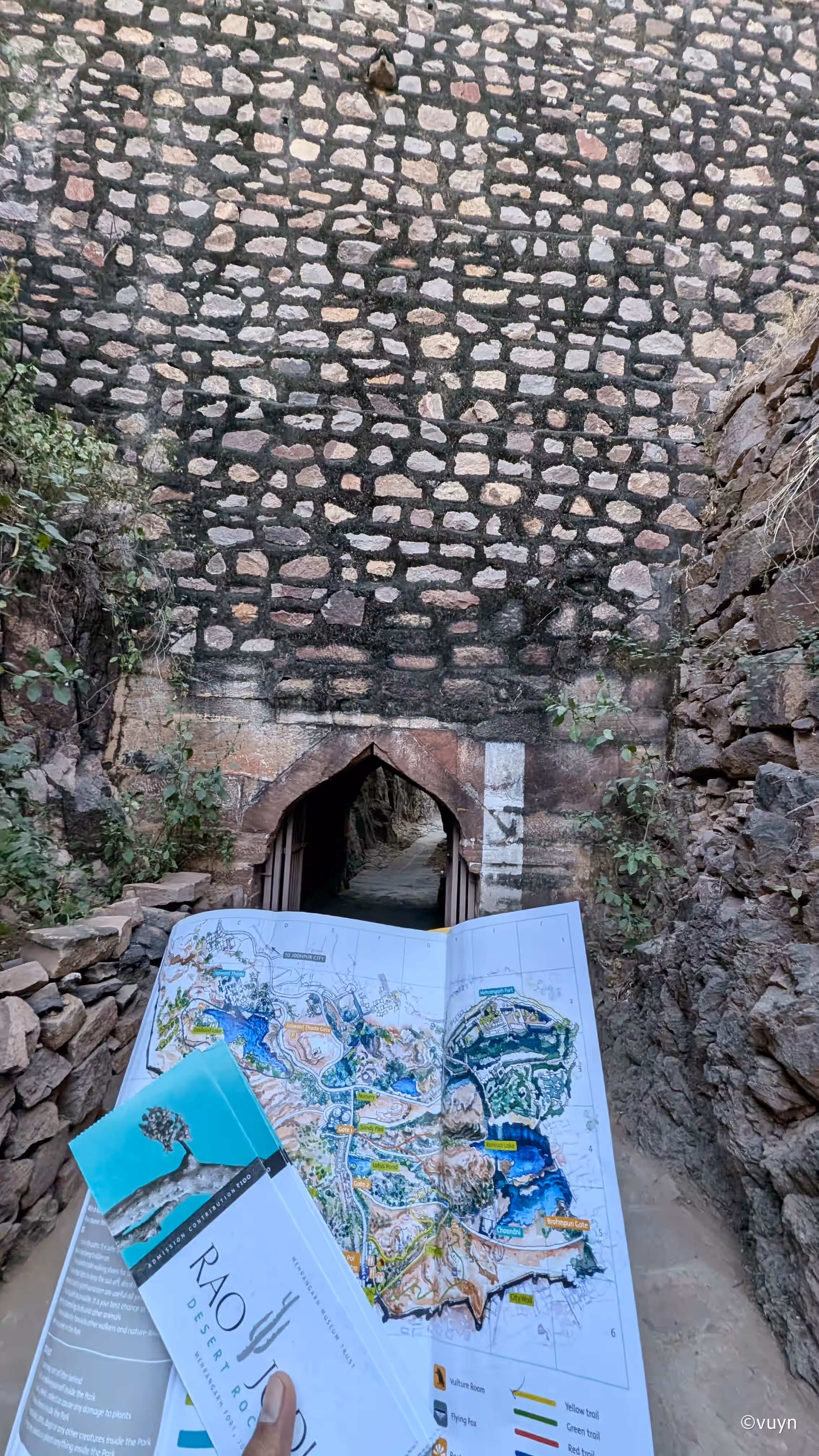 Jodhpur, Rajasthan - 55