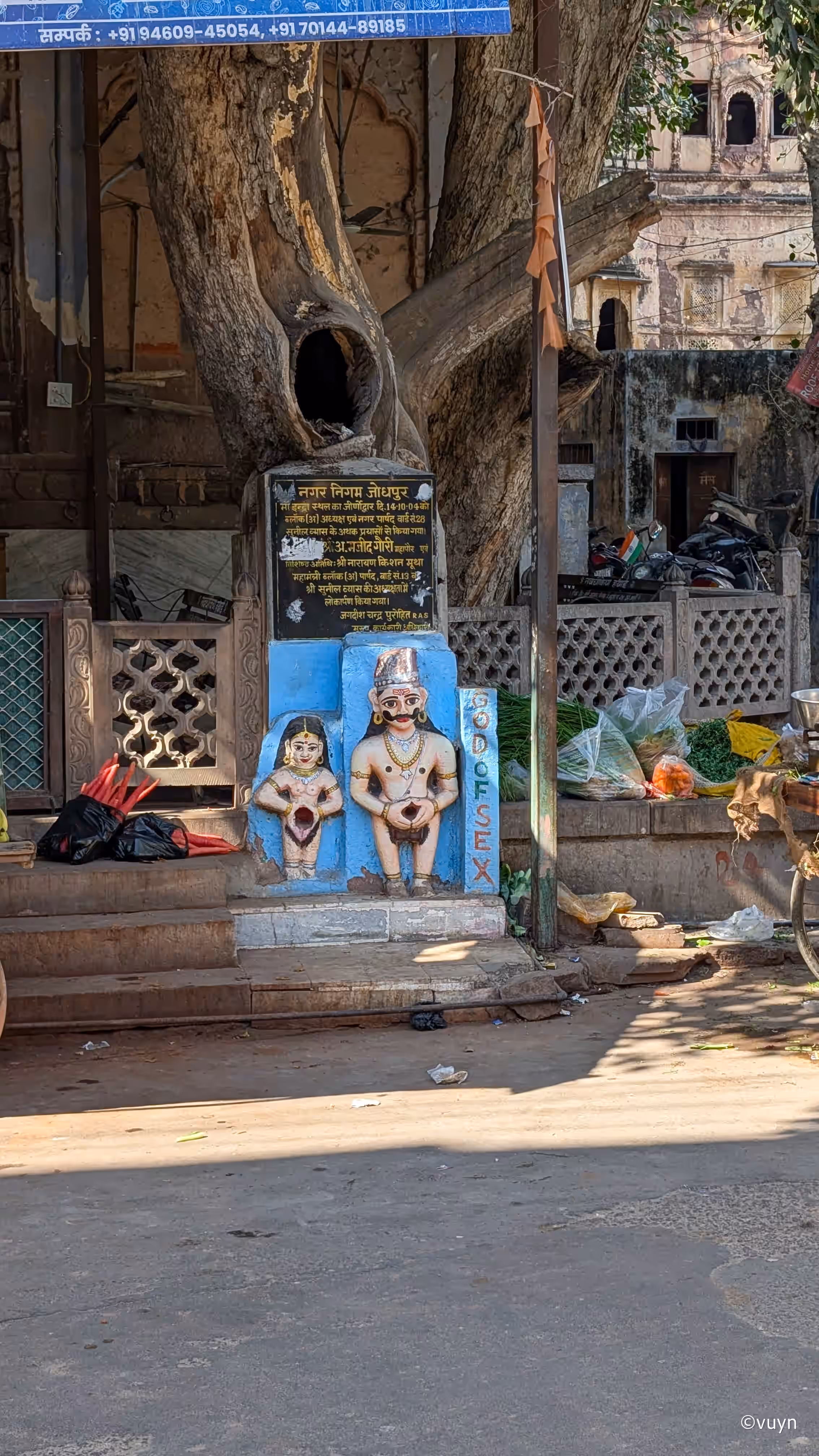 Jodhpur, Rajasthan - 60