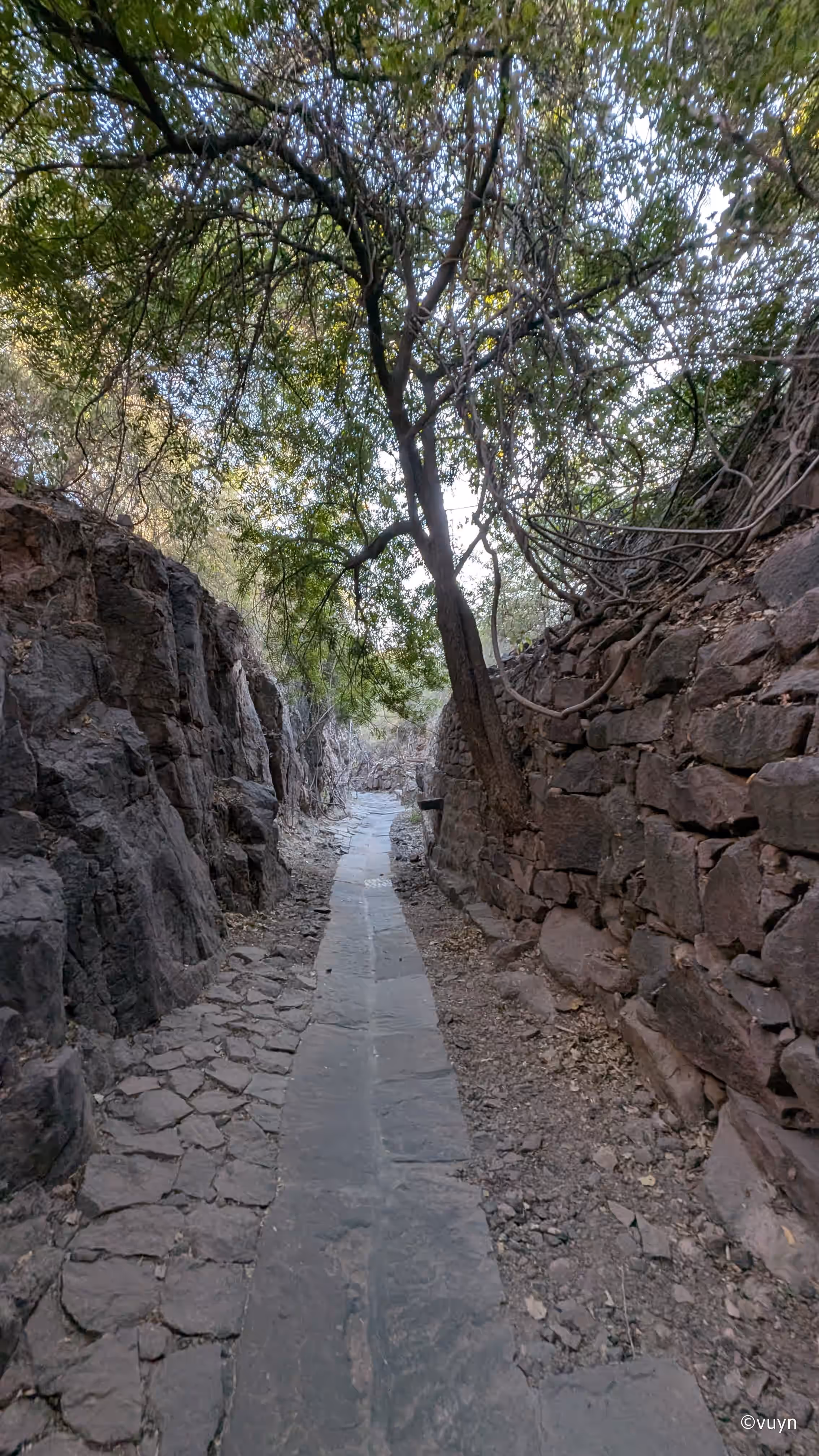 Jodhpur, Rajasthan - 67